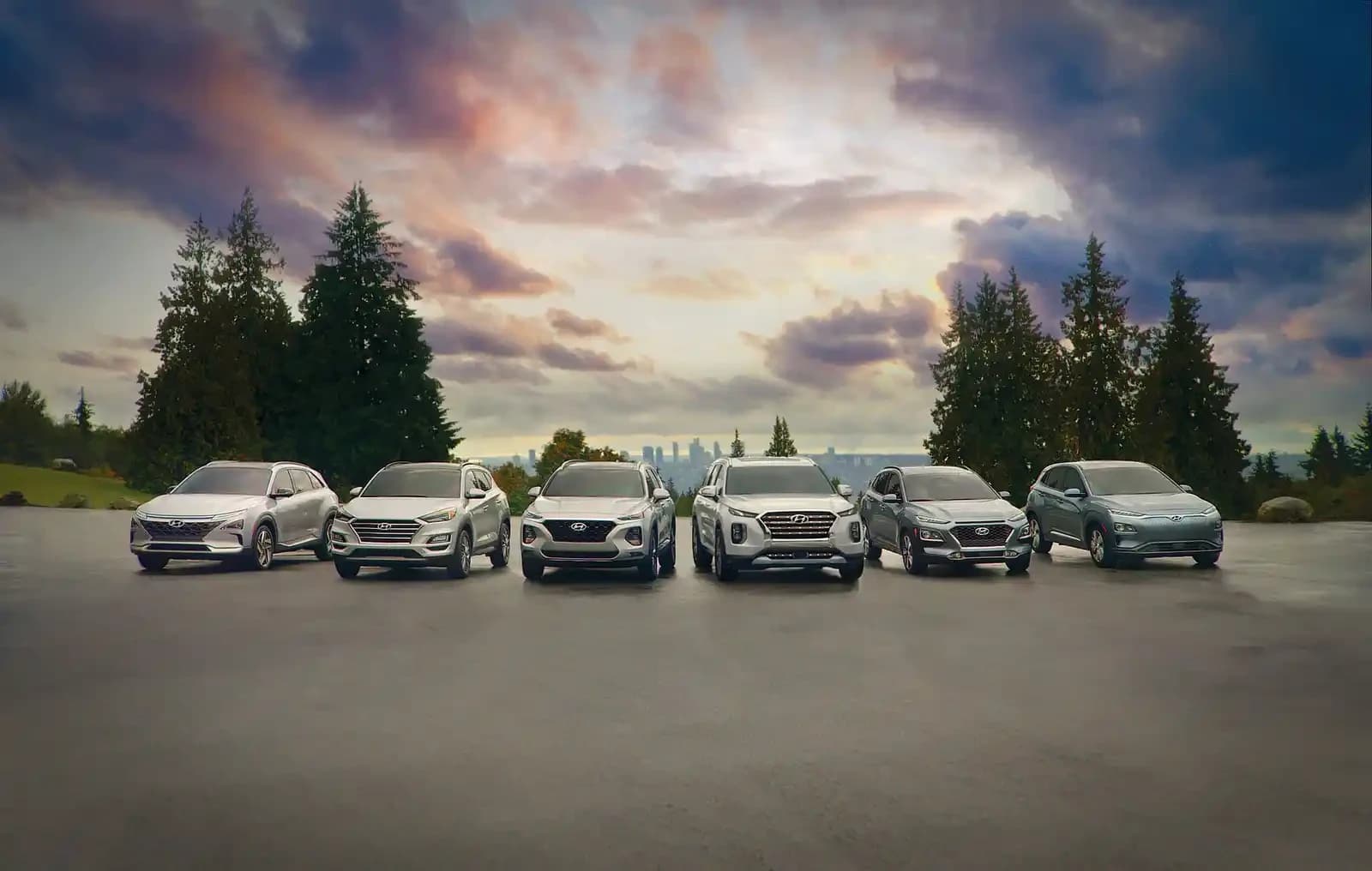 Personne conduisant une voiture